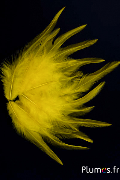 Coq - 8-12 cm - jaune